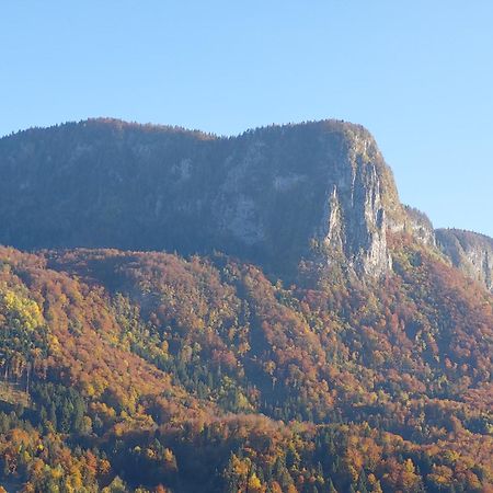 Apartmaji Pr'Pisk Bohinjska Bela Buitenkant foto