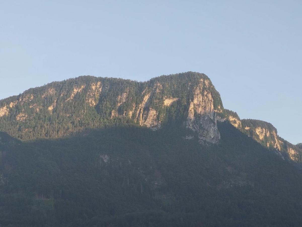 Apartmaji Pr'Pisk Bohinjska Bela Buitenkant foto
