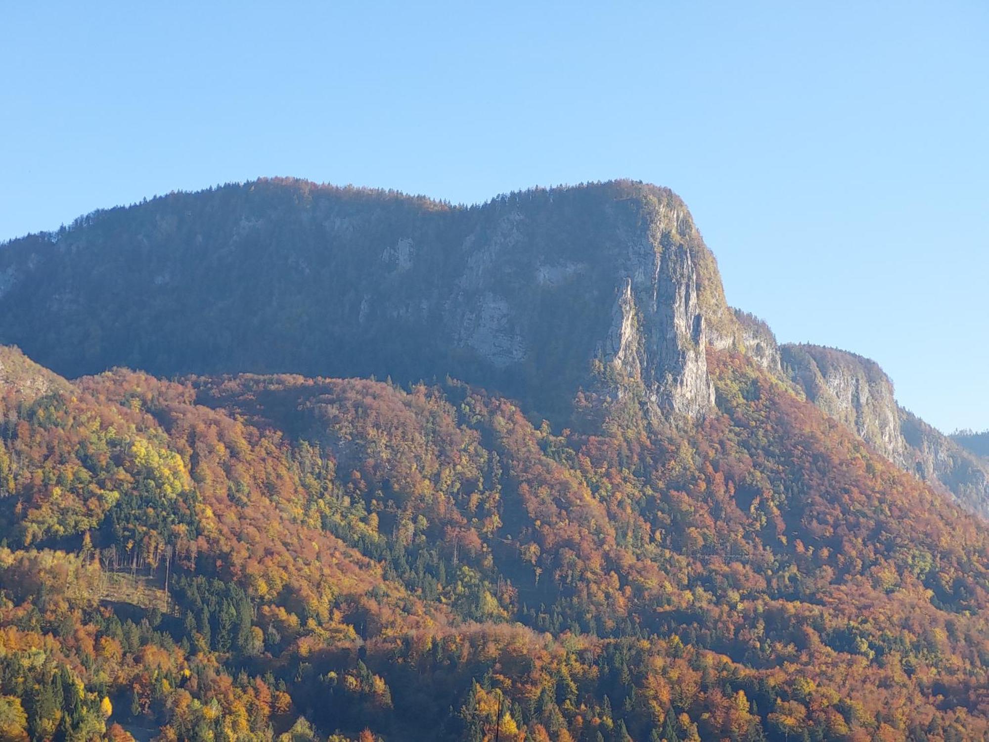 Apartmaji Pr'Pisk Bohinjska Bela Buitenkant foto