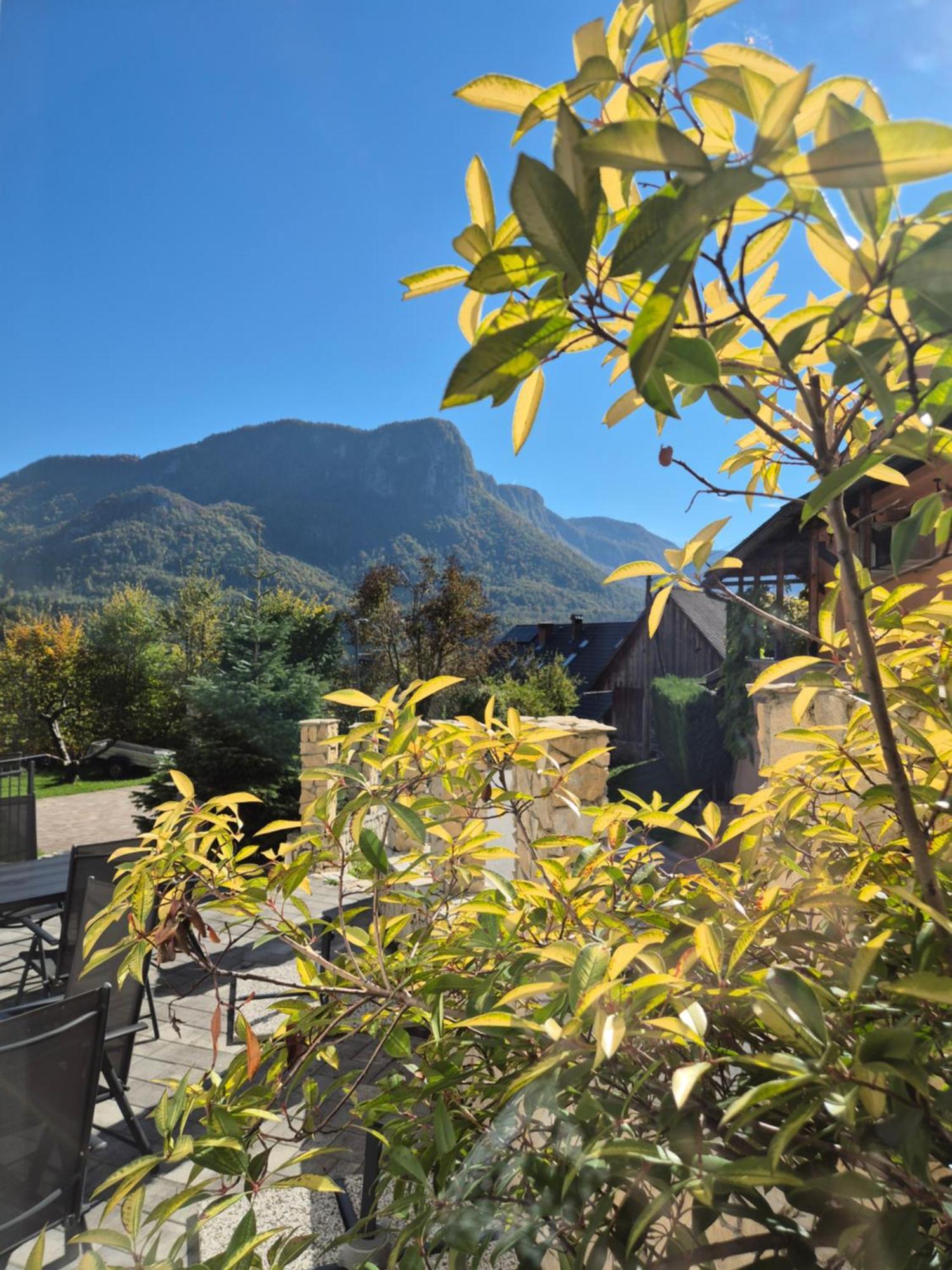 Apartmaji Pr'Pisk Bohinjska Bela Buitenkant foto